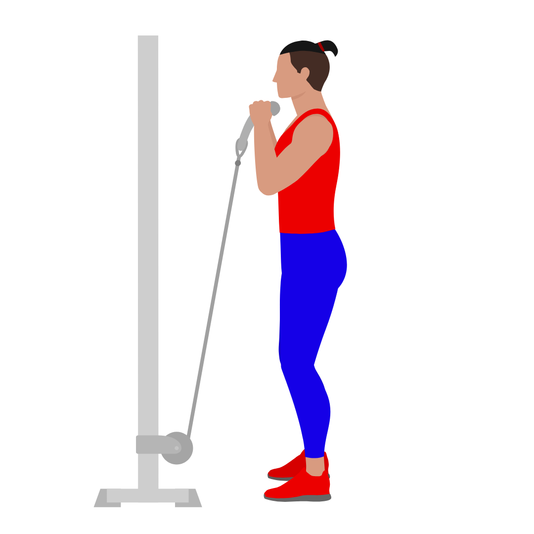 Cable Goblet Squat