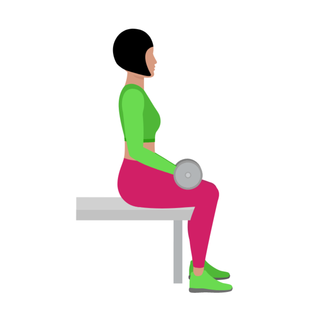 Dumbbell Seated Bicep Curl