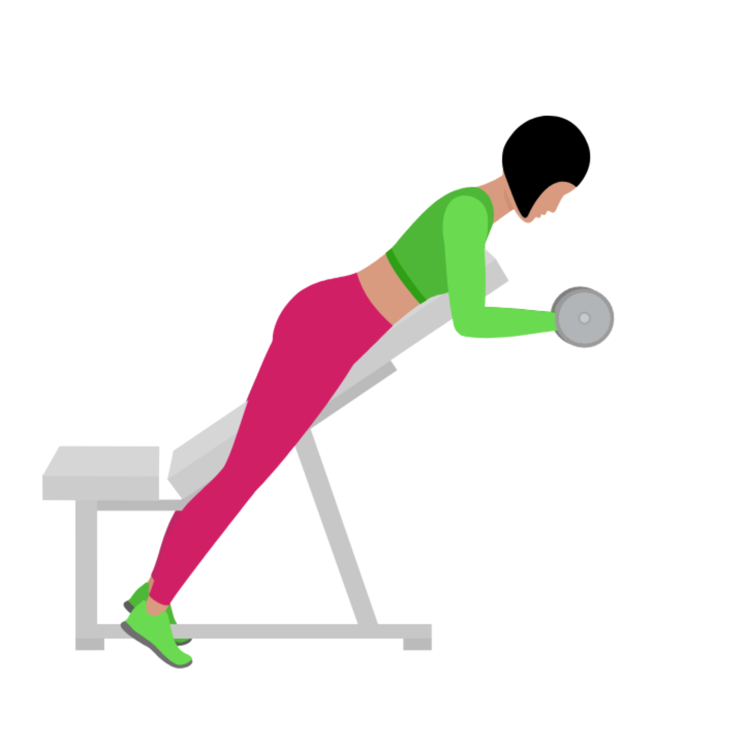 Dumbbell Spider Bicep Curl