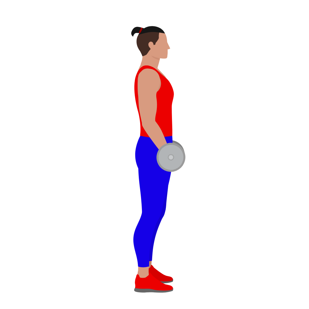 Dumbbell Bicep Curl