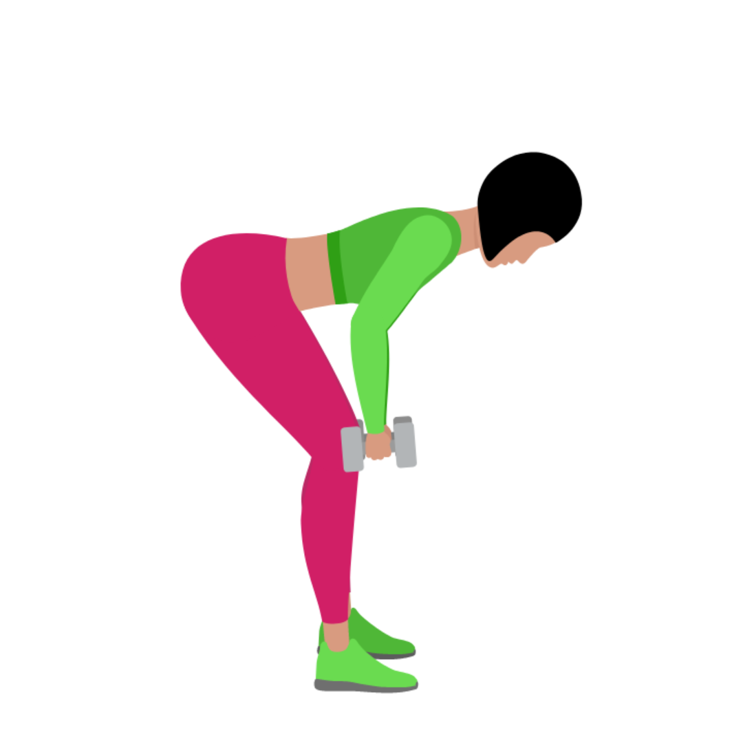 Dumbbell Bent Over Row