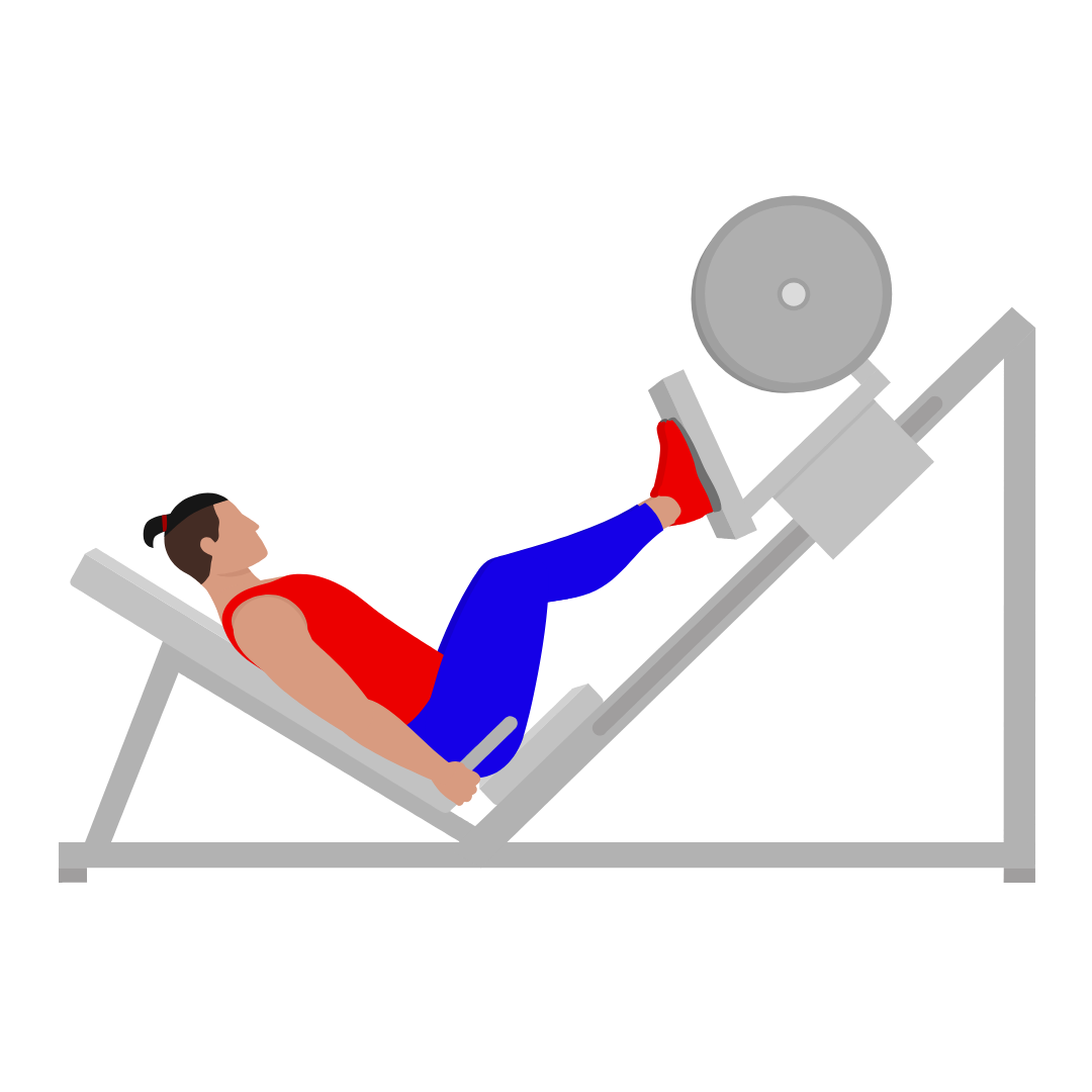 Sled Leg Press
