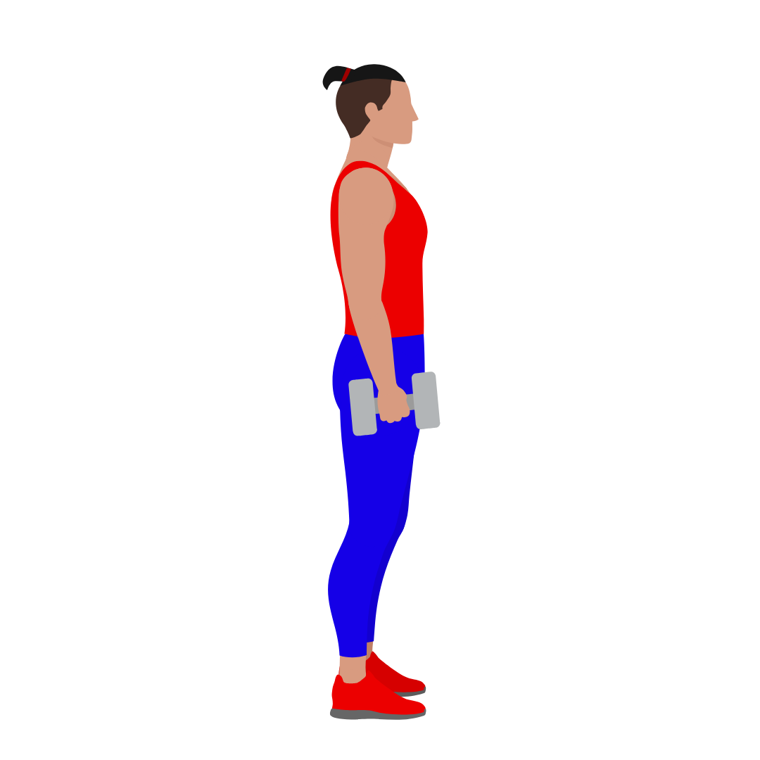 Dumbbell Hammer Curl