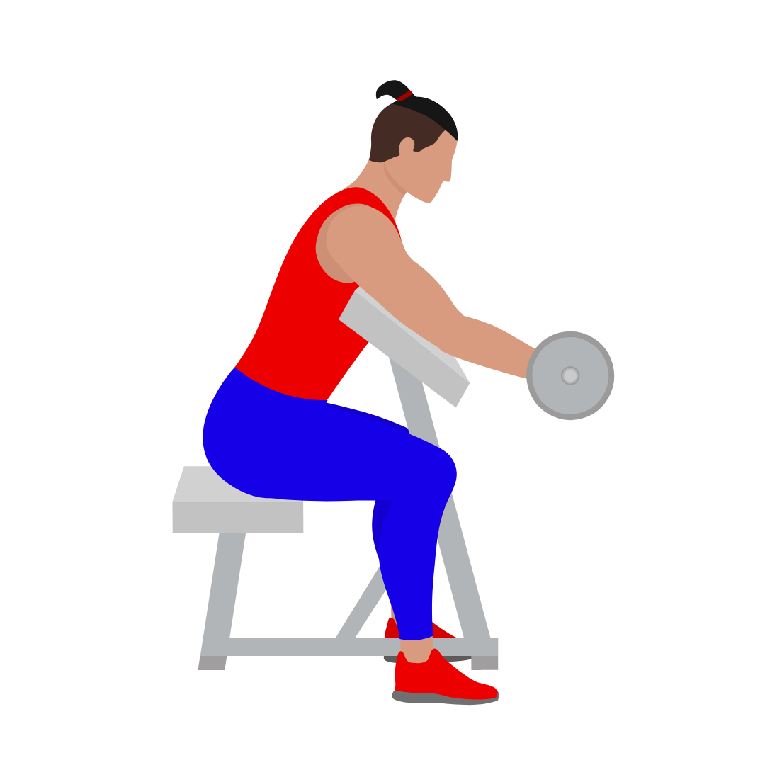 Seated Dumbbell Preacher Curl