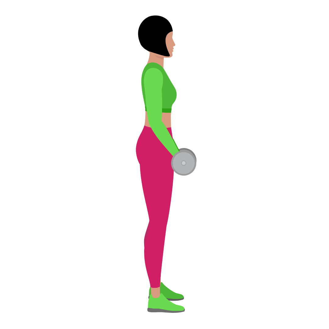 Dumbbell Bicep Curl