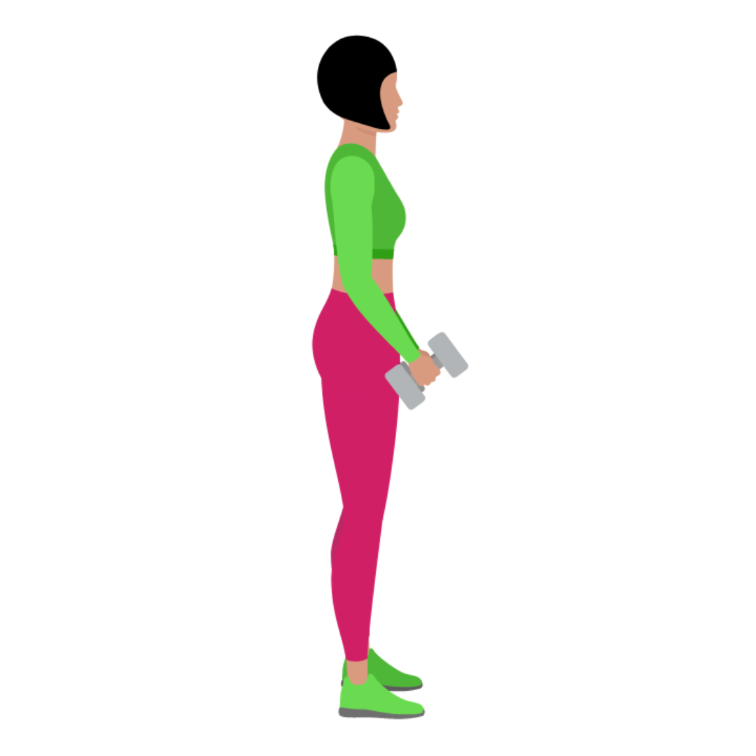 Dumbbell Hammer Curl