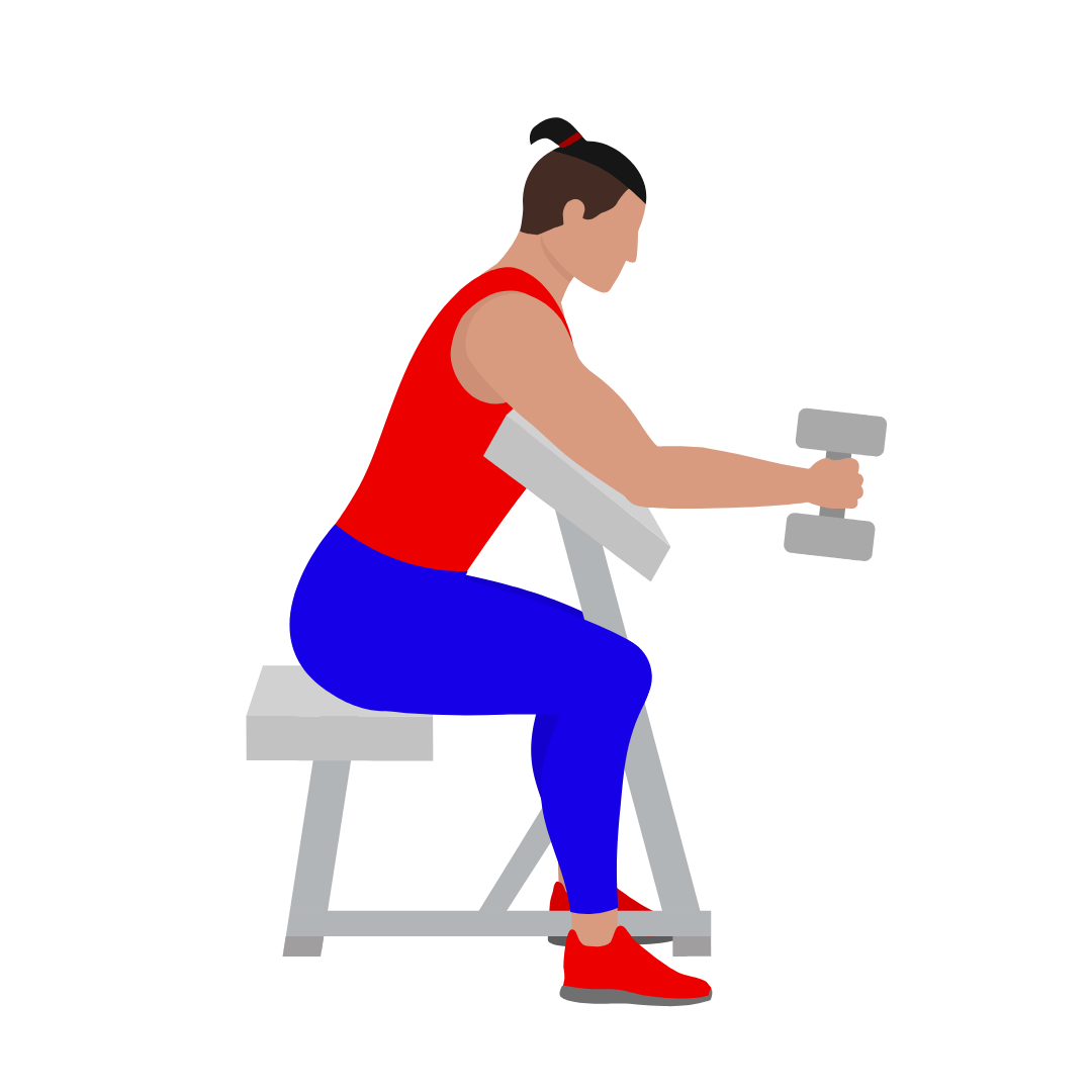 Seated Dumbbell Preacher Hammer Curl
